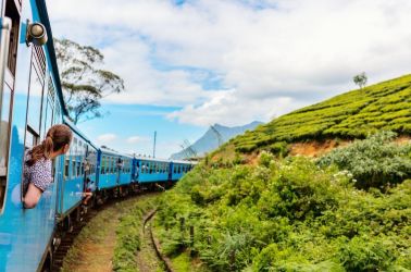 Шри Ланка – остров на древни храмове, чаени плантации и златни плажове с полет от София