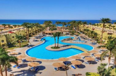 Palm Beach Resort Standard