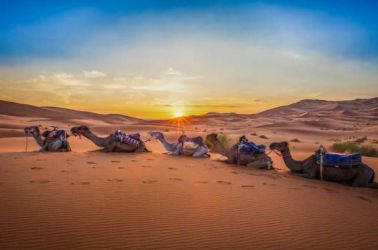 Средиземноморски Шепот - От Малага до Маракеш с полет от София 02.04