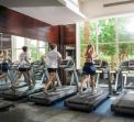 Cleopatra Luxury Makadi Beach Resort Premium