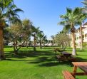 Rixos Sharm El Sheikh Adults Only Lux
